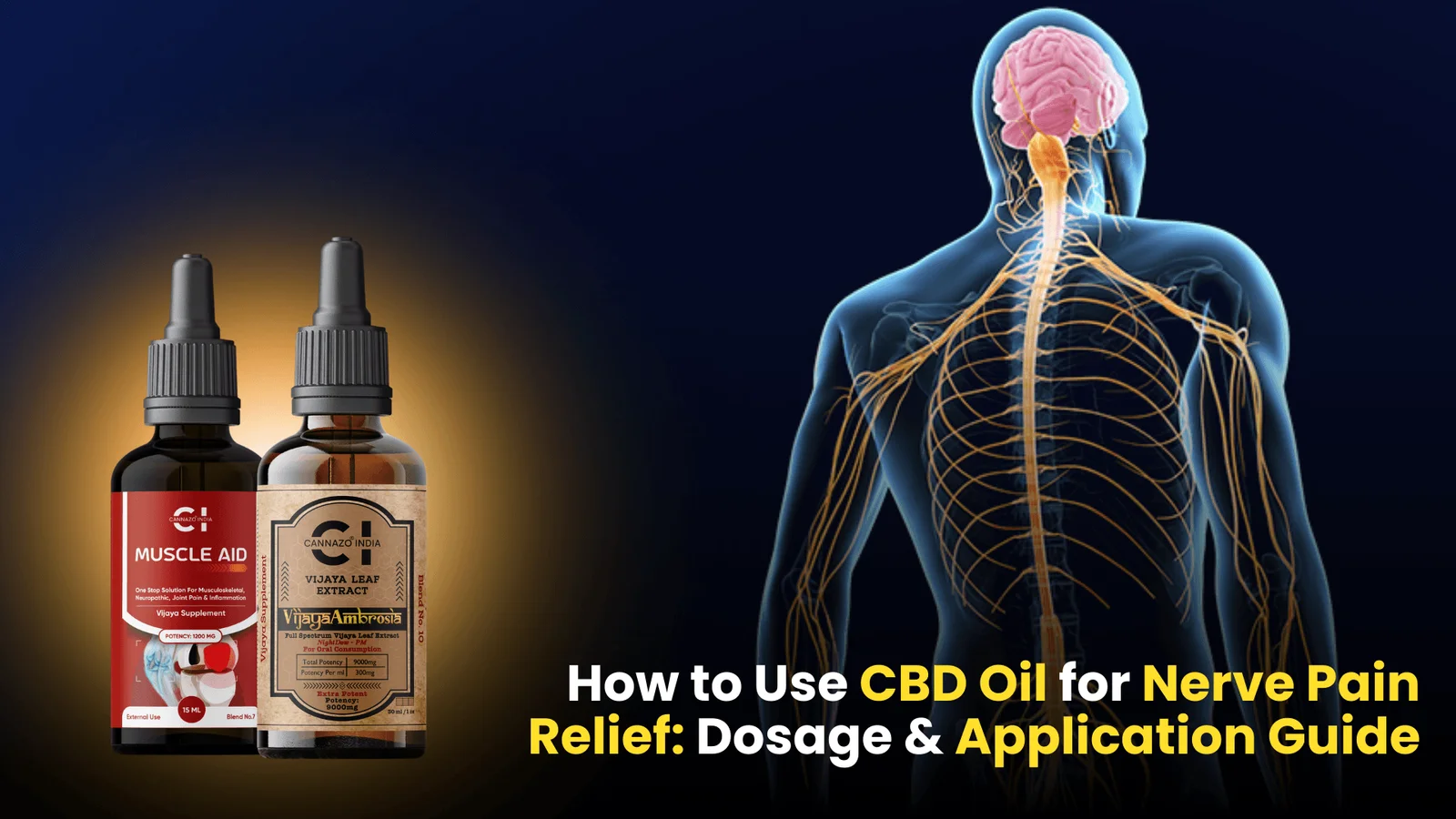 CBD oil for inflammation research and benefits